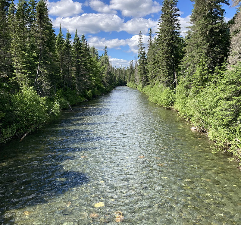 riviere-petite-cascapedia-image-7